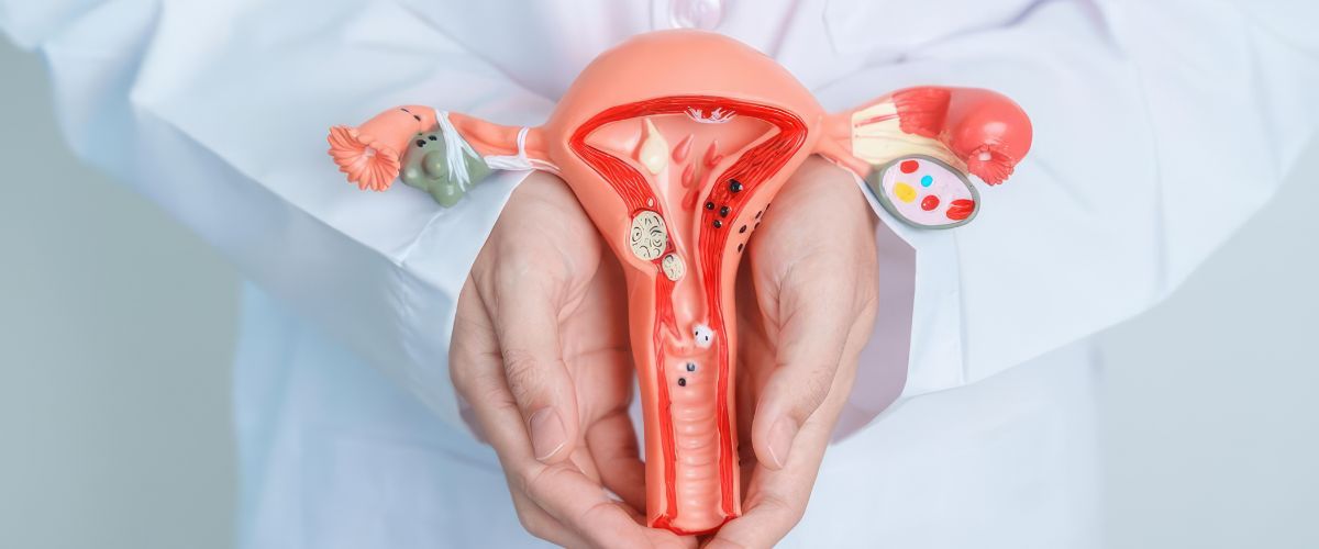 ¿Qué es el estradiol?